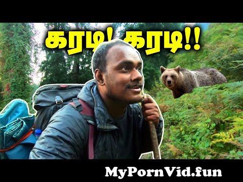 Porn bears in Kalyan