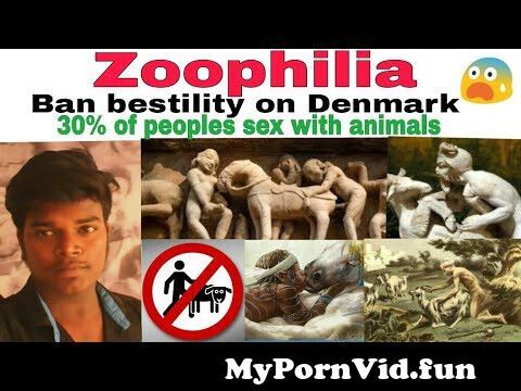 Animal Bf Sexy Movie - Zoophilia | pornography | sex with animals? | Explain |Tamil | TCT from  tamil colle sexnimal porn sex man dogidi bf xxx wwxx omww xxx à¦¬à¦¾à¦‚à¦²à¦¾ à¦¦à§‡à¦¶à§‡  Watch Video - MyPornVid.fun