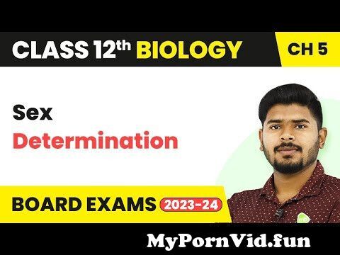 View Full Screen: sex determination principles of inheritance and variation 124 class 12 biology 2022 23.jpg