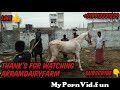 Sex of the girl with horse in Hyderabad