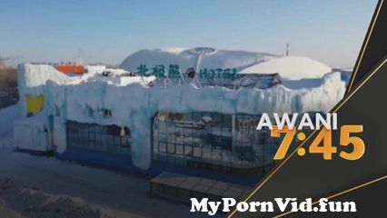 Porn watching in Harbin