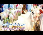 shahzaib goat farm