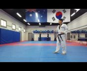 Professional Taekwondo