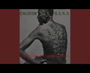 Calicoe - Topic
