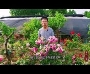 峰哥爱花卉