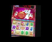 G Money Slot Machine Videos