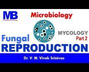 Microbiology u0026 Biotechnology