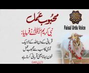 Faisal Urdu Voice