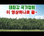 울산고래TV - 울산광역시 공식 채널