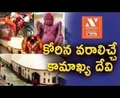 AnyNews Telugu