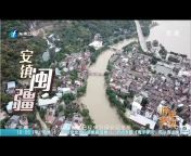 中国东南卫视官方频道 China Southeast TV Official Channel 【欢迎订阅】
