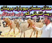 Mujtaba Goat Farm Luddan