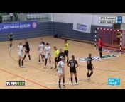 Gyori Audi Eto Handball Fan