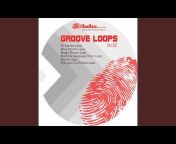 Danirava Records Loops - Topic