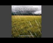 Rain Sounds by Alan Naake - Topic