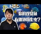 亮哥养鱼频道 Liang Aquarium