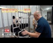 iPanda熊貓頻道