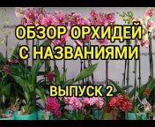 Орхидеи со всей планеты Ангелок.ру