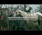 176px x 144px - Karil - Caballo Homosexual de Las MontaÃ±as (Lyrics + Sub English) from  caballos gays Watch Video - MyPornVid.fun