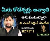Mahindar Patel Numerology