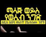ኢትዮ ሕብር ሚዲያ-Ethio Hiber Media