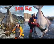Sea Fishing Video