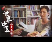 广东电视纪实频道 China Guangdong TV DocumentaryChannel