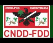 Cndd-Fdd - TV