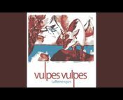 Vulpes Vulpes - Topic