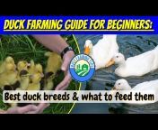 Best Farming Tips