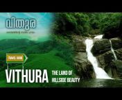 Panchayat Vithura