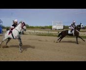 KCV Horse Racing
