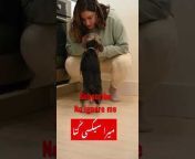 Pakistani Animals