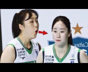 Korea volleyball sports