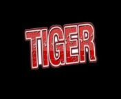 👑mylai tiger 🐯