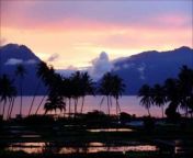 Bali Paradise Travel Videos
