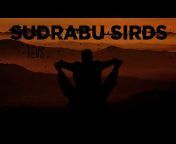 Sudrabu Sirds Official