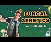 Fungi Academy