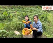 越南美食 -Ẩm Thực TV