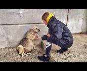 Love Furry Friends - Rescue Channel