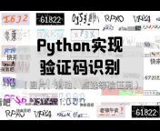Python学习者