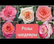 Розы – Занозы!