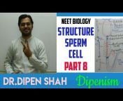 Dr.Dipen Shah