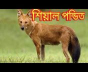Natural Bangla HD
