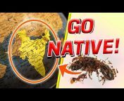 Ant Attic India