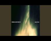 Sonar Acid Wolve - Topic