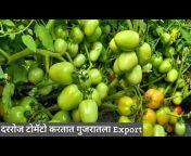 Farming Maharashtra