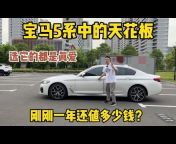 Wang Yi&#39;s driving master