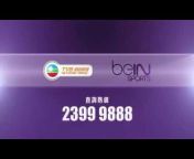 TVB Network Vision (Official)
