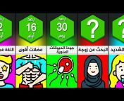 Arabic Comparisons